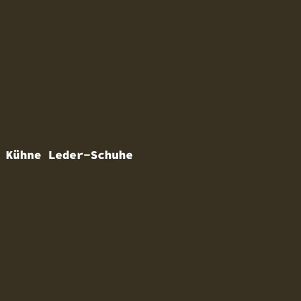 Kühne Leder-Schuhe