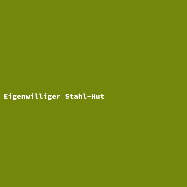 Eigenwilliger Stahl-Hut