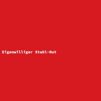 Eigenwilliger Stahl-Hut