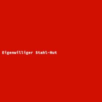 Eigenwilliger Stahl-Hut